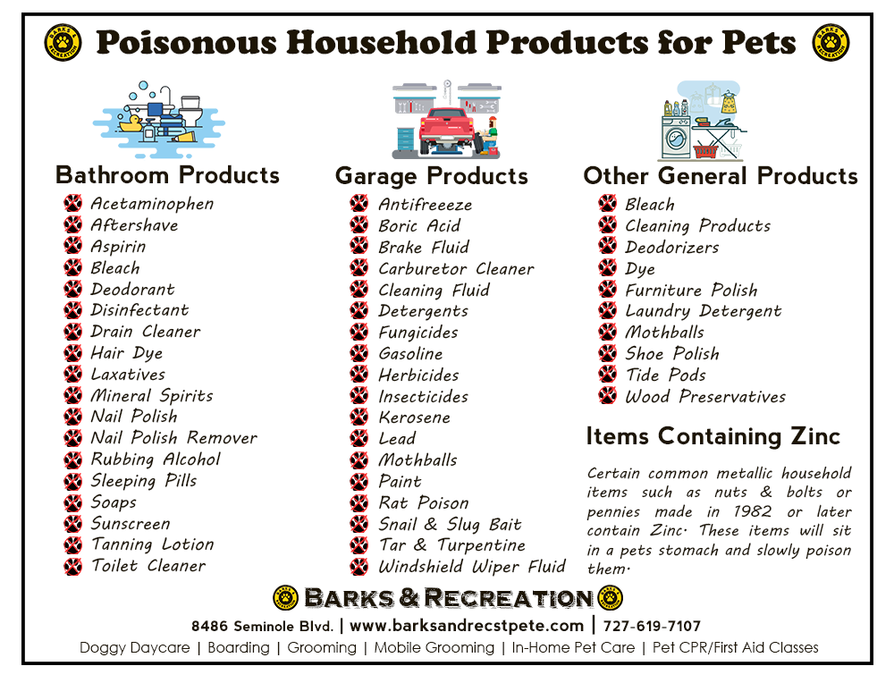 Pet Poisons: Be Mindful of these Household Products and Cleaning Agents